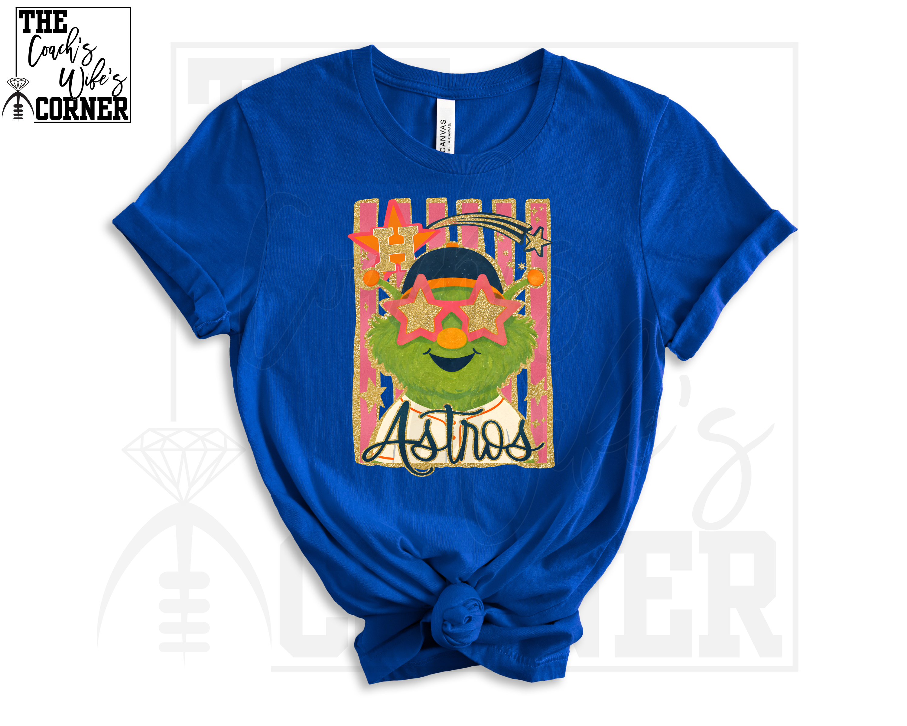 Houston Astros Orbit