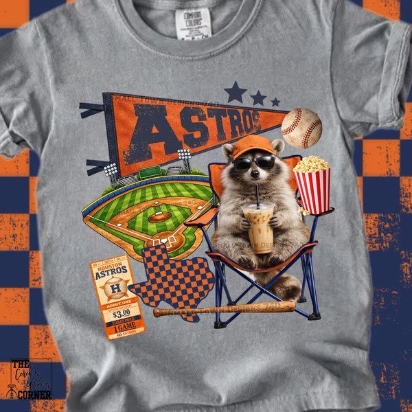 Astros Racoon