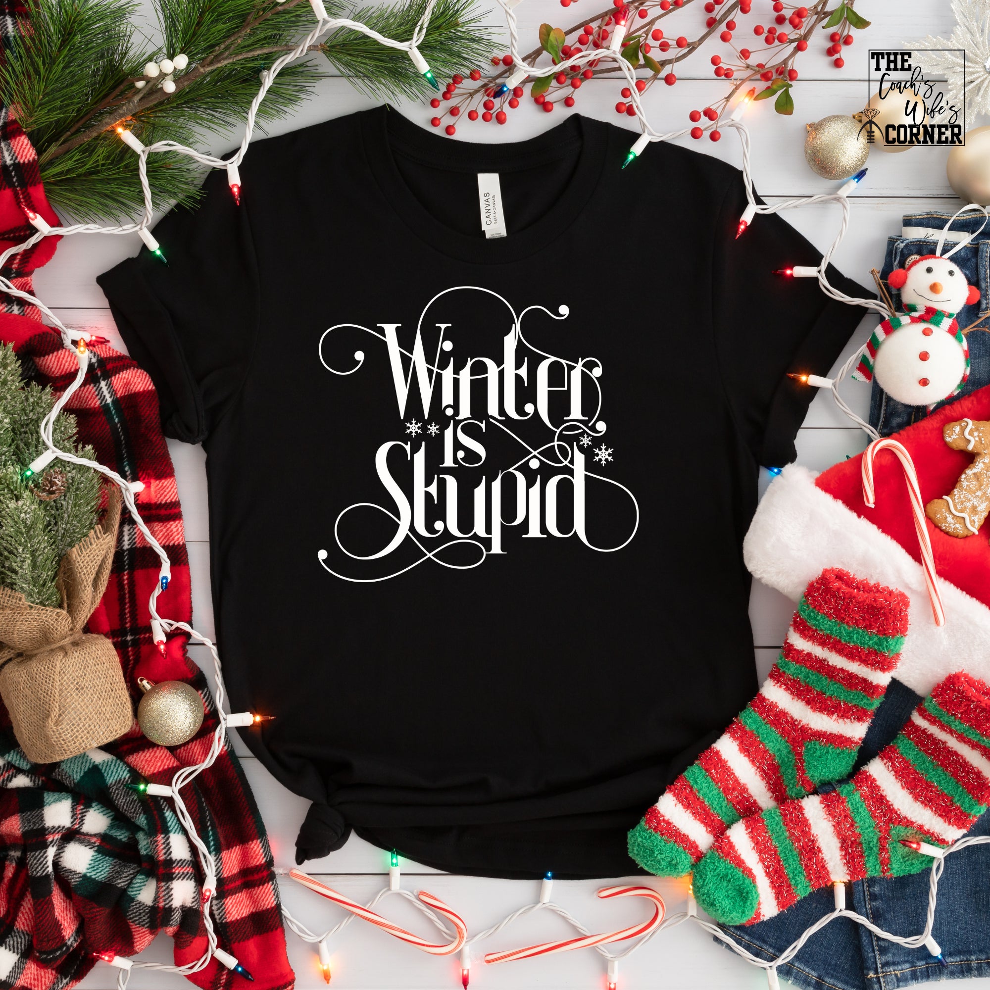 Winter is Stupid